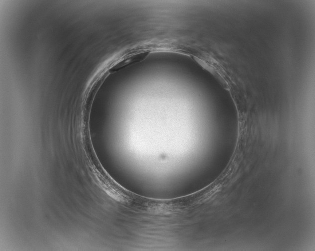 X0000080790293200612151502