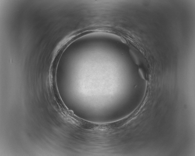 X0000080790294200612151502
