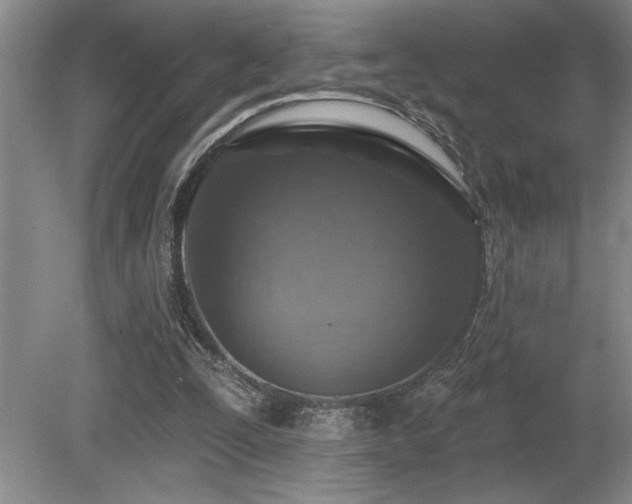 X0000080790295200612151502