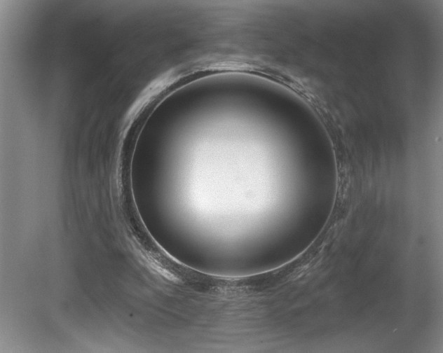 X0000080790296200612151502