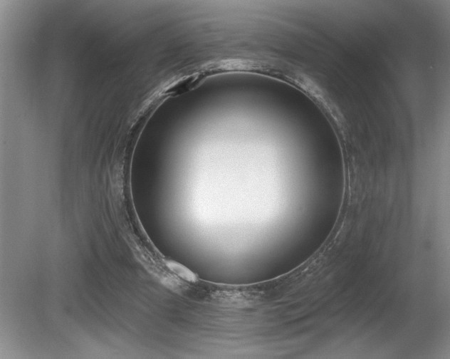 X0000080790297200612151502