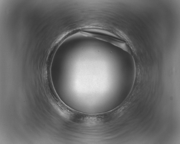 X0000080790298200612151502
