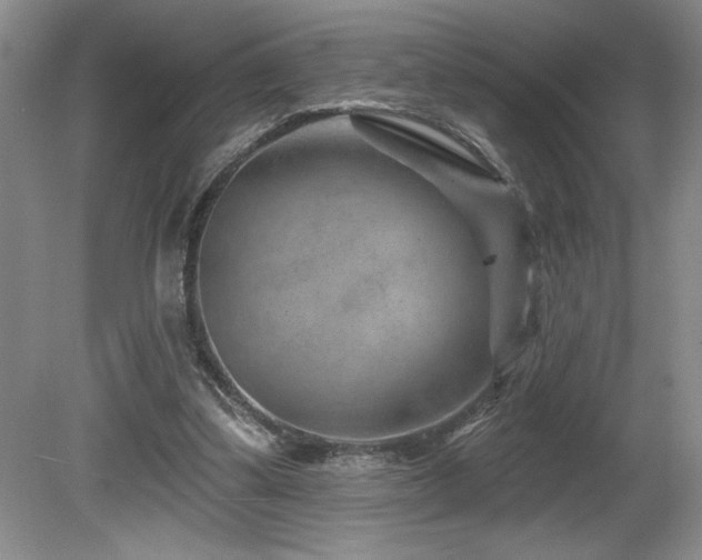X0000080790299200612151502