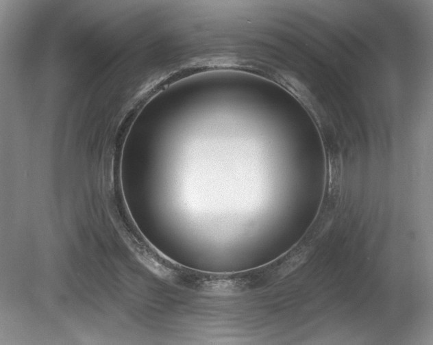 X0000080790301200612151502