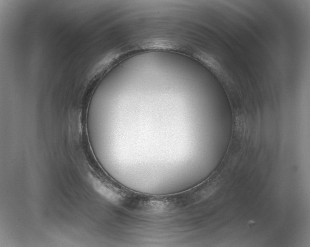 X0000080790302200612151502