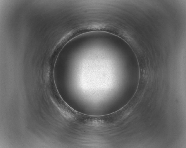 X0000080790304200612151502