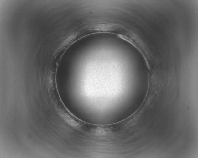 X0000080790305200612151502