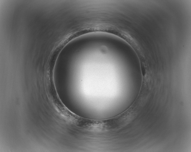 X0000080790306200612151502