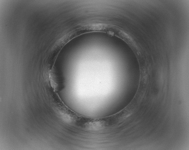 X0000080790307200612151502