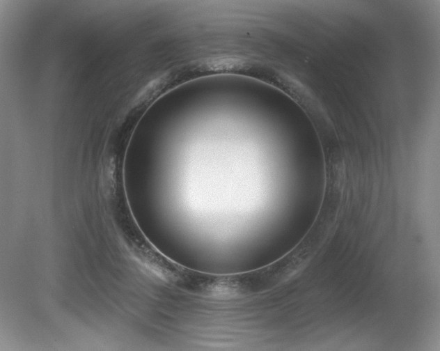 X0000080790308200612151502