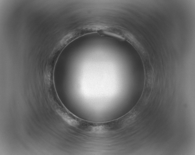 X0000080790309200612151502