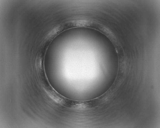 X0000080790310200612151502