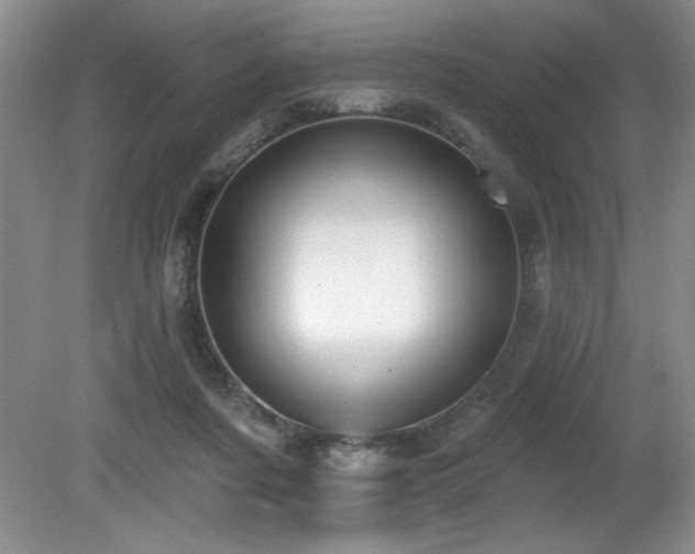 X0000080790311200612151501
