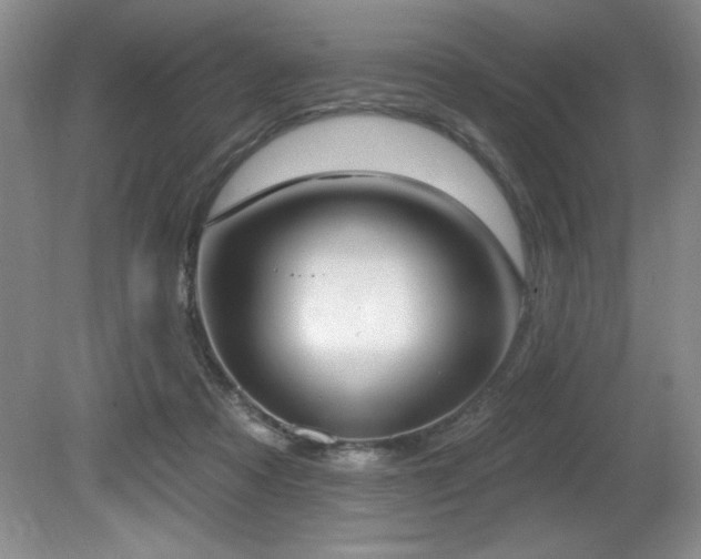 X0000080790313200612151501
