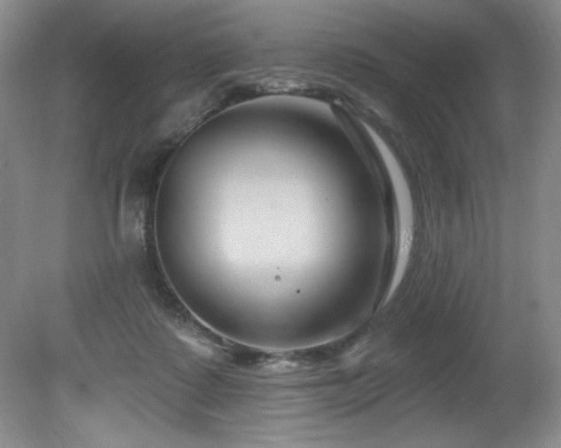 X0000080790315200612151501