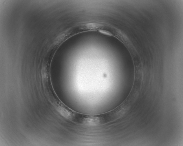 X0000080790317200612151501