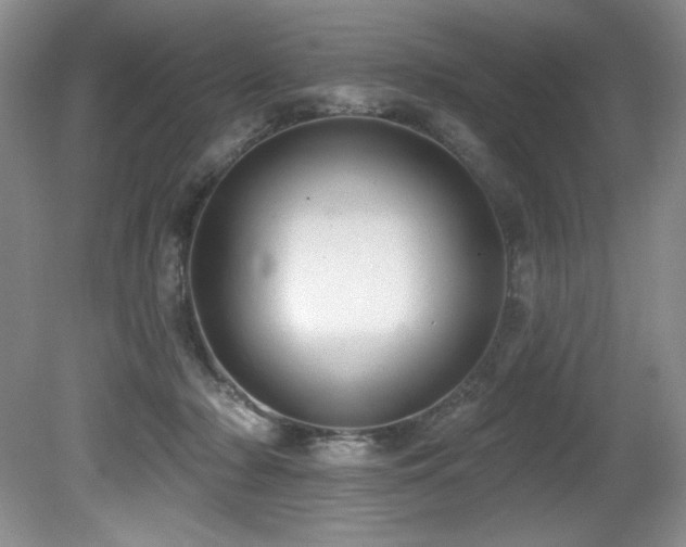 X0000080790318200612151501