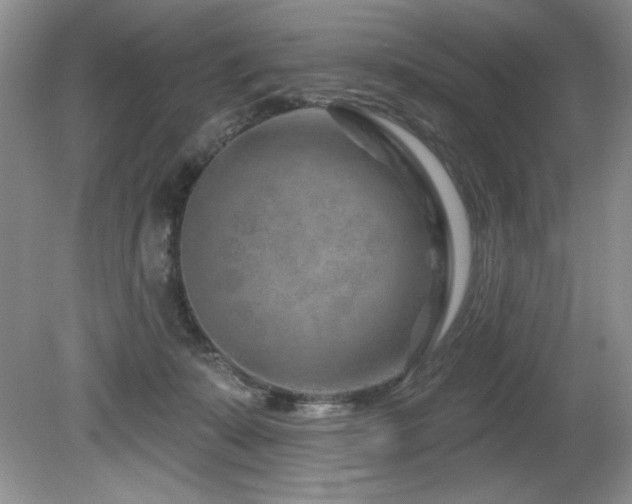 X0000080790319200612151501