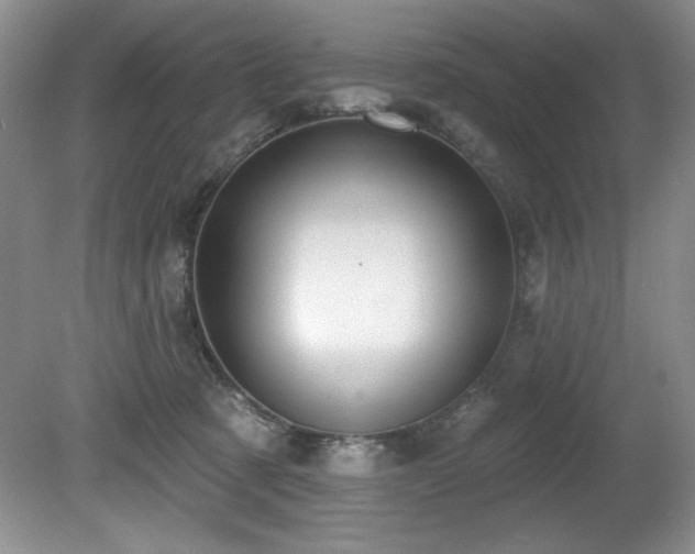 X0000080790321200612151501