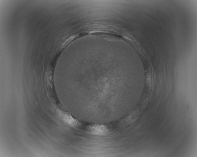 X0000080790322200612151501