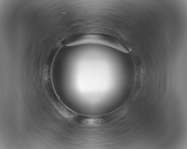 X0000080790323200612151501