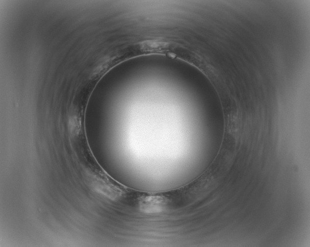 X0000080790324200612151501