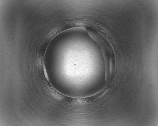 X0000080790329200612151501