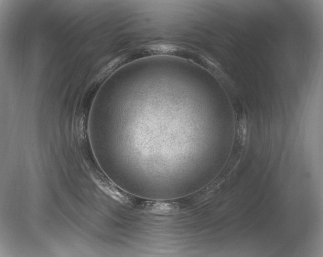 X0000080790330200612151501