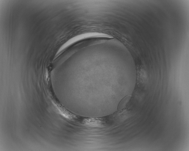 X0000080790331200612151501