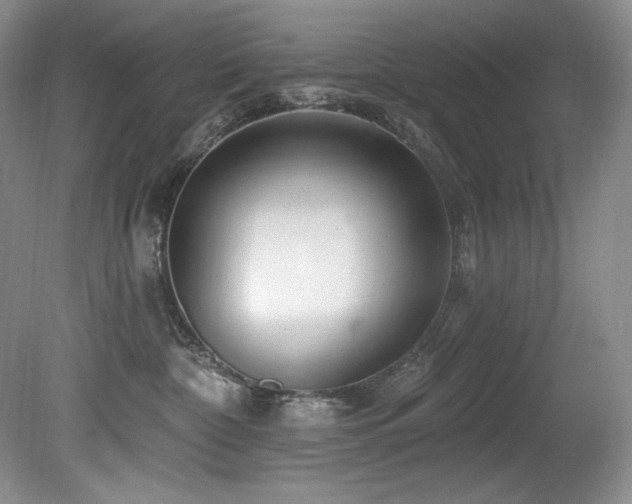X0000080790332200612151501