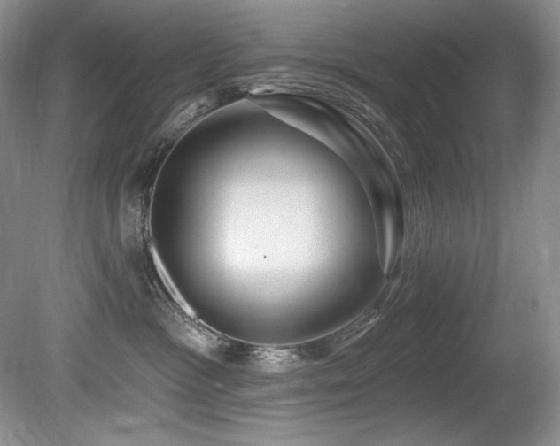 X0000080790333200612151501