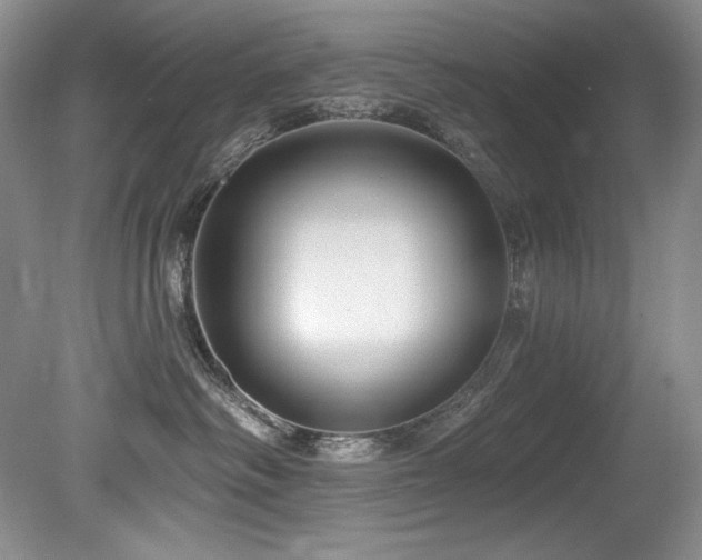 X0000080790334200612151501