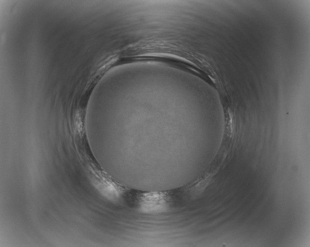 X0000080790335200612151501