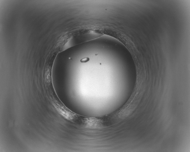 X0000080790336200612151501