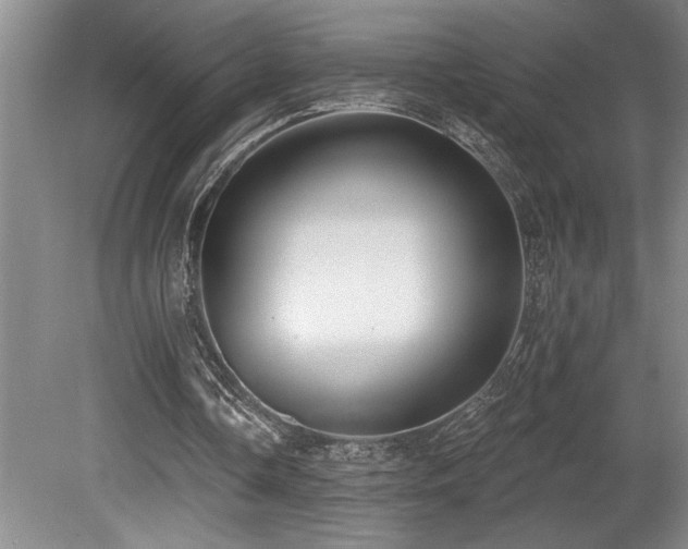 X0000080790338200612151500