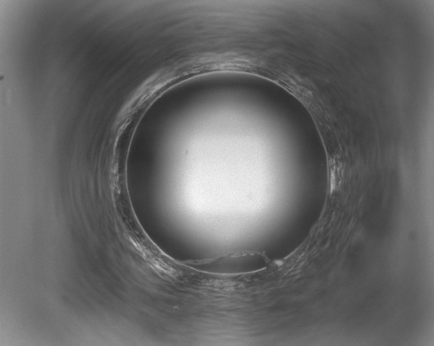 X0000080790339200612151500
