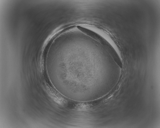 X0000080790343200612151500