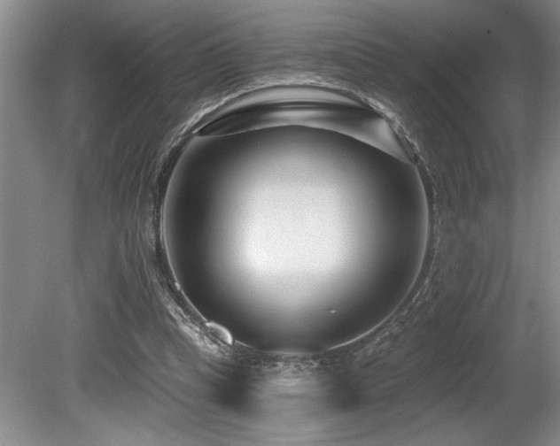 X0000080790345200612151500