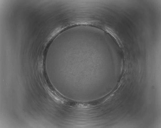 X0000080790346200612151500