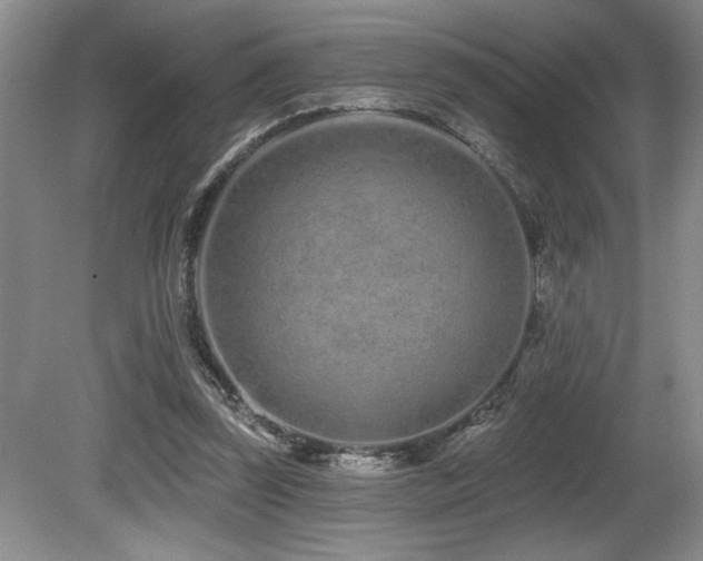 X0000080790347200612151500