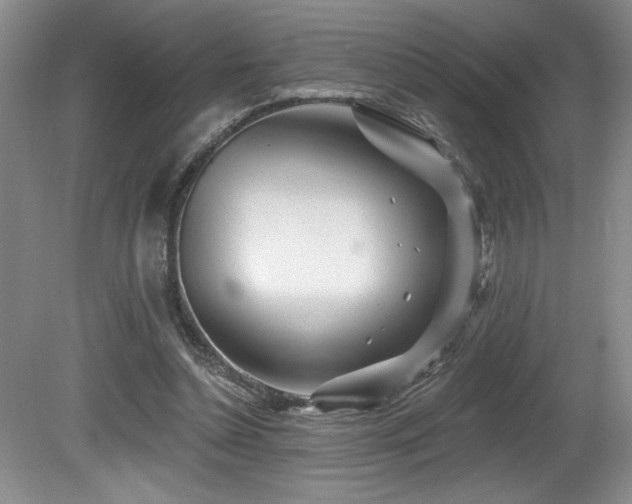 X0000080790348200612151500