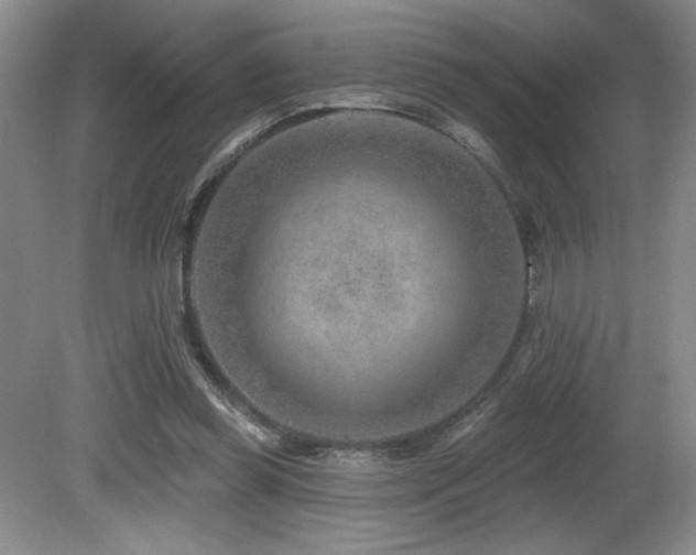 X0000080790349200612151500