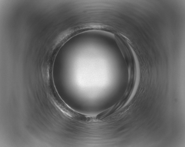 X0000080790350200612151500