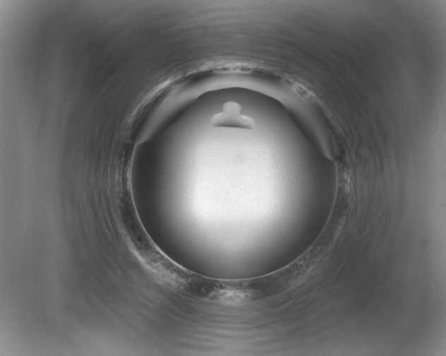 X0000080790352200612151501