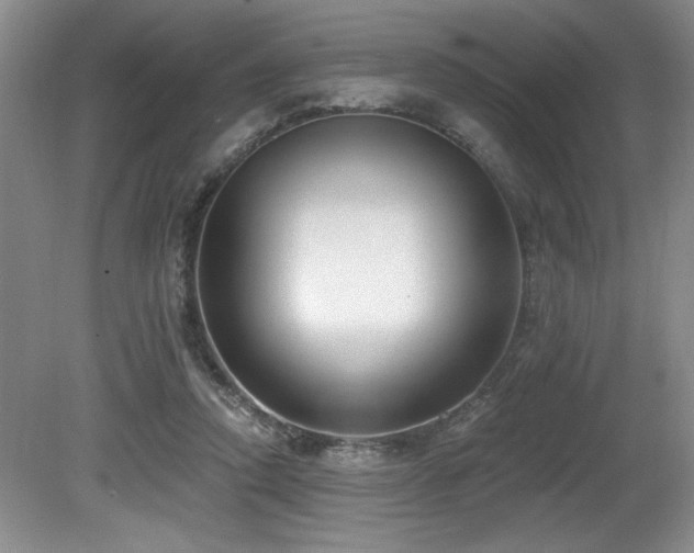 X0000080790354200612151501