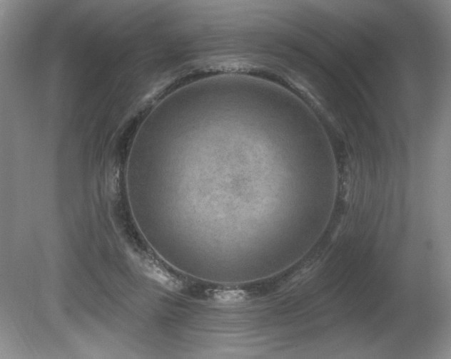 X0000080790355200612151501