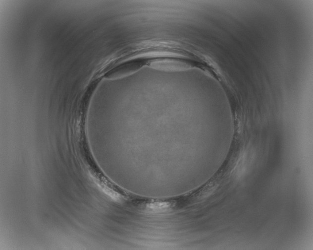 X0000080790357200612151501