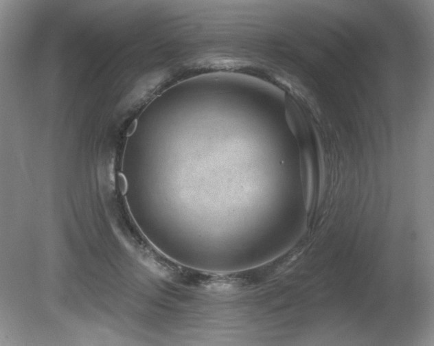 X0000080790358200612151501