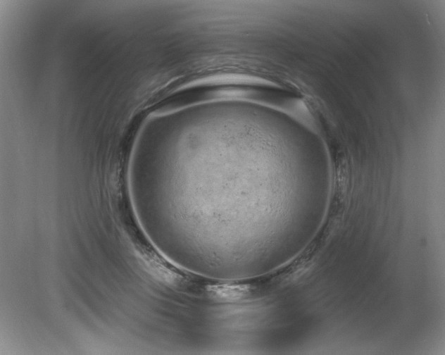 X0000080790359200612151501