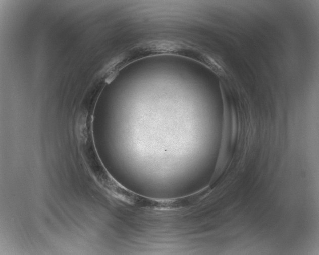 X0000080790360200612151501